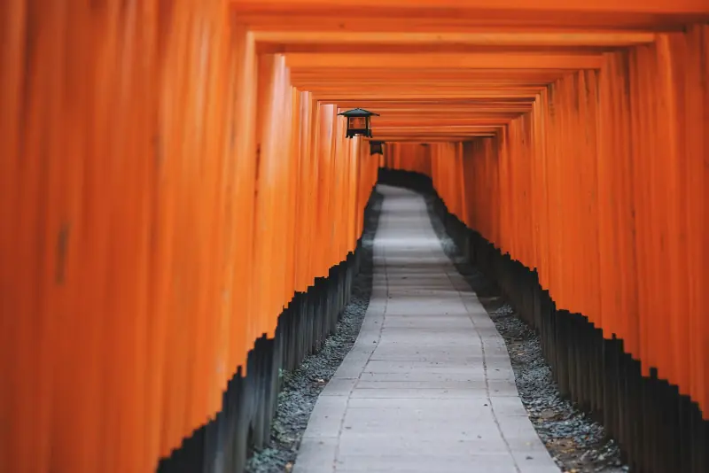 caminho entre portais torii alaranjados no santuário fushimi inari taisha, em kyoto.